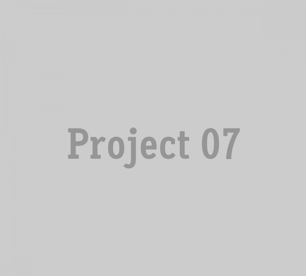 project_07