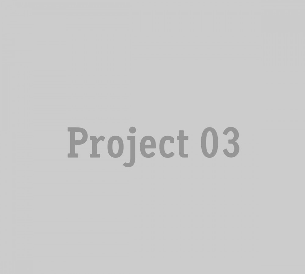 project_03